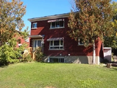 1 bedroom for female room mate Carleton U 700 $/month May 1st Image# 1