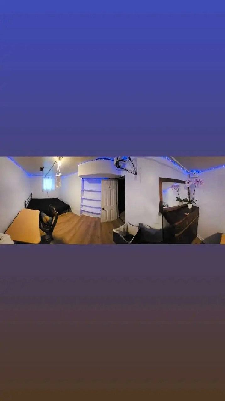 Quiet Room by the Lake - Available Immediately in City of Toronto,ON - Room Rentals & Roommates