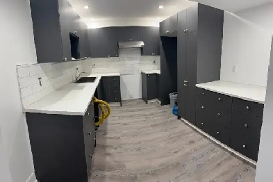 Grand 4 1/2 - Entièrement RÉNOVÉ à Mascouche Image# 1