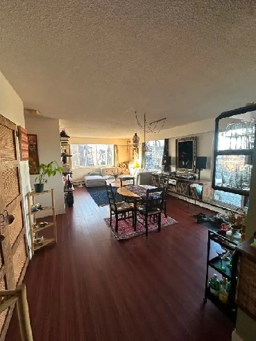 Bedroom with Ensuite in Gorgeous East Van Apartment Image# 1