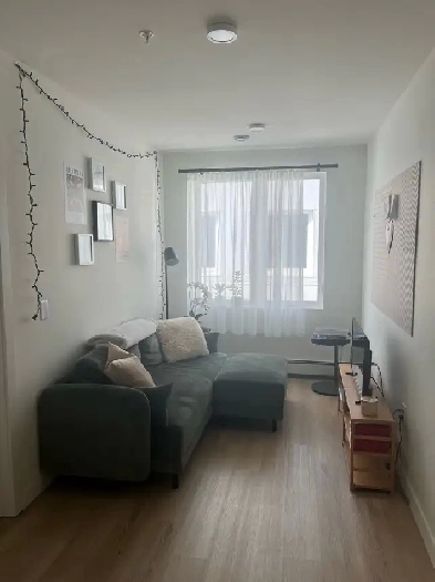 3 BR South End SUBLET May 01 - Aug 31 Image# 1