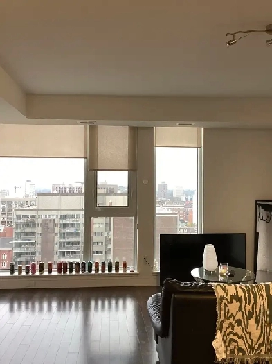 Tribeca 1BR June 1st – Move-in Ready!