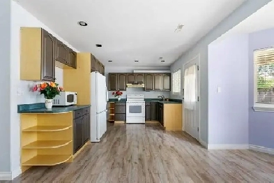 $1,600 – 900 sq. ft., 1 bedroom basement suite in Maple Ridge Image# 1