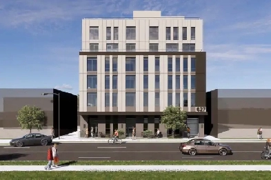 Kingston Investment Land Albert Street