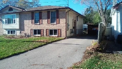 2-bedroom basement apartment with laundry Image# 1