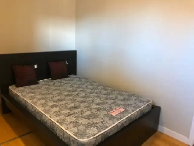 whitehorn basement private room for rent Image# 1