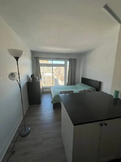 renovated studio available April 1 Image# 1