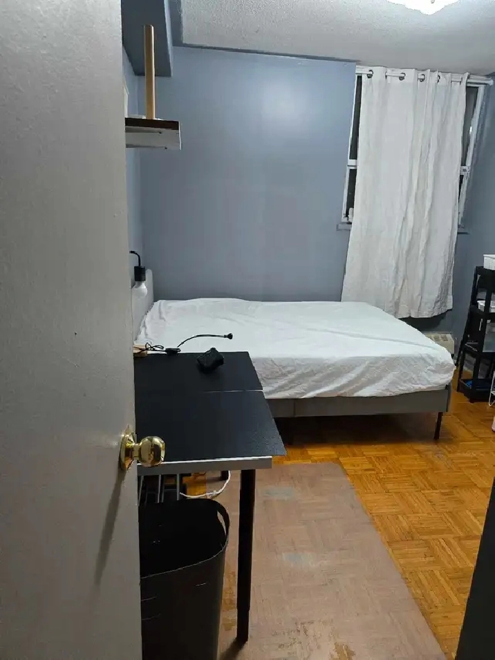 Roommate needed for 1st of April 2025 in City of Toronto,ON - Room Rentals & Roommates