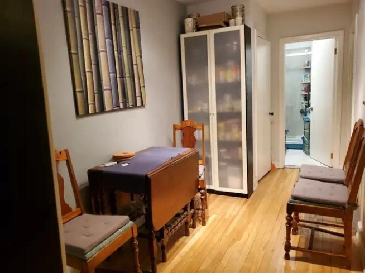 2 Bedroom Apartment in Sandy Hill in Ottawa,ON - Apartments & Condos for Rent