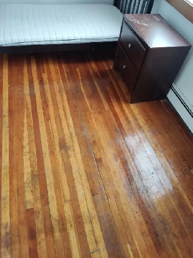 1 room- Halifax shopping centre Image# 1