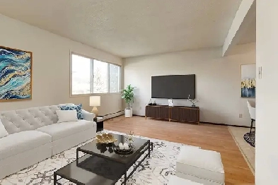 Affordable Apartments for Rent - Central Apartments - Apartment Image# 3