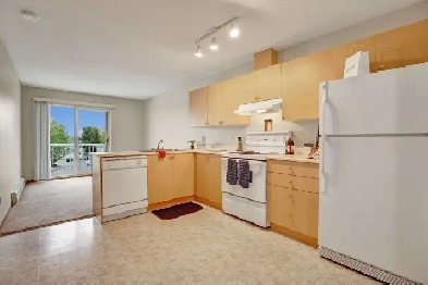 3 Bed x 1.5 Bath Apartment for Rent on Highland Blvd W. | $1600. Image# 1