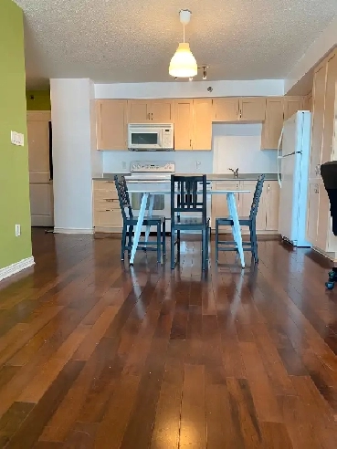 Montreal Downtown one bedroom condo for rent - furnished Image# 1