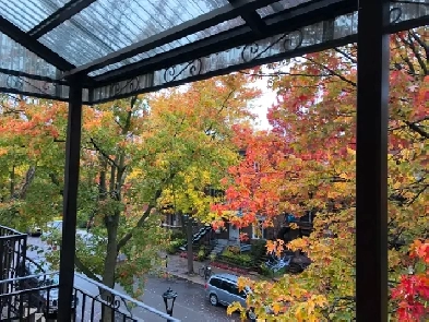 CHARMANT PETIT 4 1/2 ENSOLEILLÉ, VALOIS, MÉTRO JOLIETTE, 1 AVRIL Image# 1