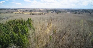 173 acres of Development/Recreational Land! Image# 1