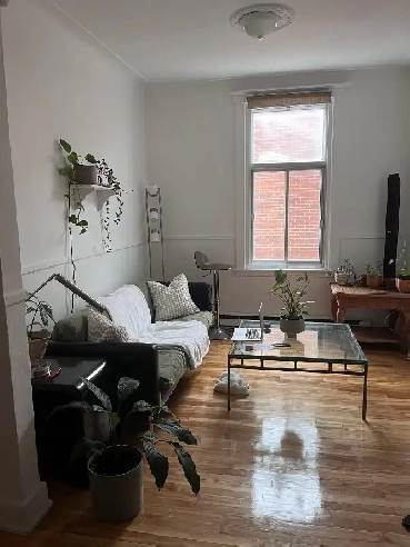 SWAP appartement 2 chambres Villeray/Jean Talon Image# 1