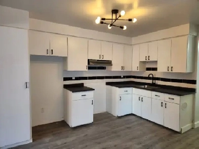 4 1/2 - disponible: mars, près des Métros Cadillac/Langelier Image# 1