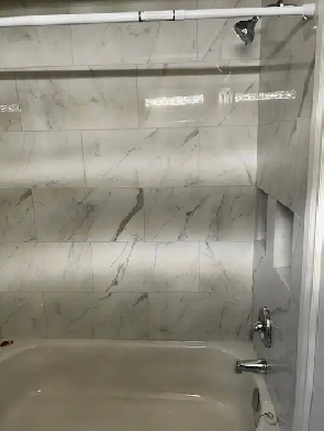 Newly Renovated Spacious 2 Bedroom Etobicoke Image# 1