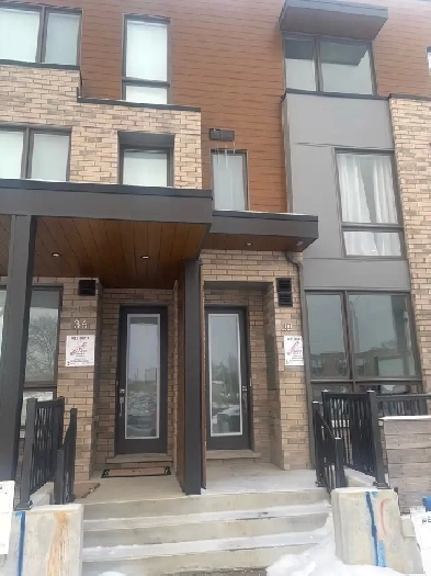 1BR bright and spacious basement for rent in midtown Toronto Image# 1