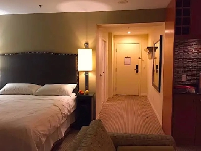 Executive Fully Furnished Downtown Condo Unit Image# 1