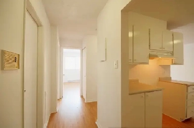 Metro Honoré-Beaugrand 3 1/2 près de tout à Pointe-aux-Trembles Image# 1