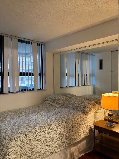 Furnished Downtown Toronto Condo Image# 1