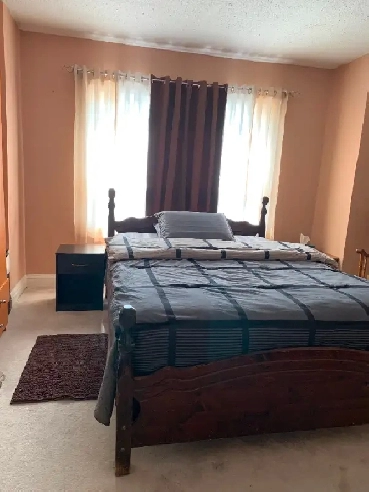 Apartment  For Rent Image# 1