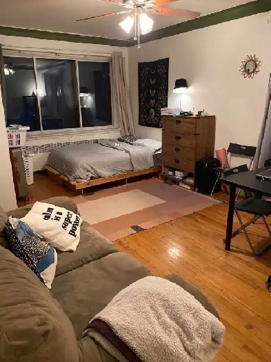 Studio Apartment McGill Ghetto, Milton Parc Area Image# 1