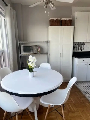 Parkdale Short-Term Furnished Rental/open to longer Image# 7