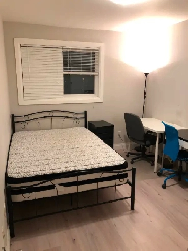 Male Only - Quiet, Clean, Comfortable room for rent near UTM Image# 1