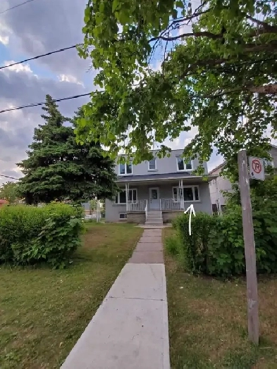 Bachelor apartment for rent Jane and 400 Image# 1