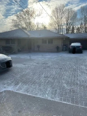 Room for Rent - Females Only Image# 1