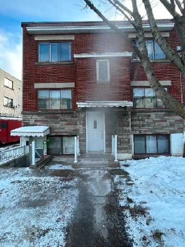 Montréal-Nord 2 1/2 à louer 850$ Image# 1