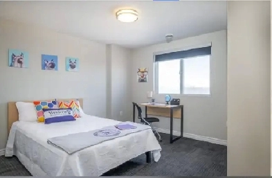 Room Rental for Summer! Image# 1