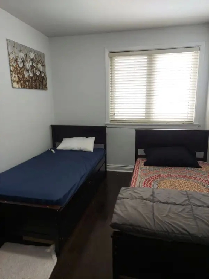 One shared room is available for rent in City of Toronto,ON - Room Rentals & Roommates