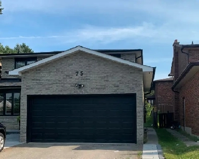 Basement For Lease ( Bayview and John) Image# 1