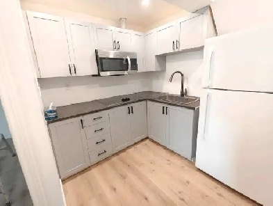 Newly renovated!! Bachelor apartment (Ground floor) Image# 1