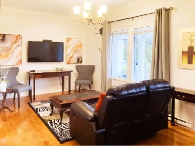 Fully Furnished One Bedroom Apartment Image# 7