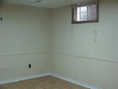 Warden/Finch Basement Room  Den. Female Professional Wanted