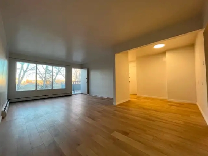 Spacious Newly Renovated 2 Bedroom Suite Near Downtown in Calgary,AB - Apartments & Condos for Rent
