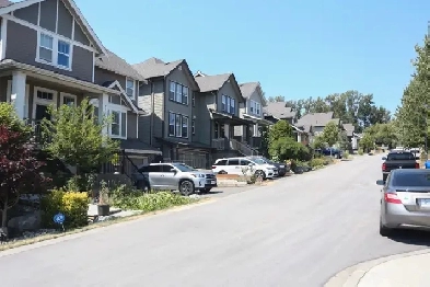 1 Bedroom Bright Basement Suite Langley Image# 3