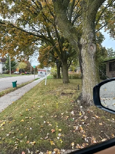 House for rent- Thornhill Image# 1