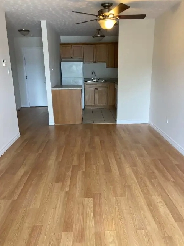 376 Westmorland Apt 203 One bedroom Available June 1st /25 Image# 4