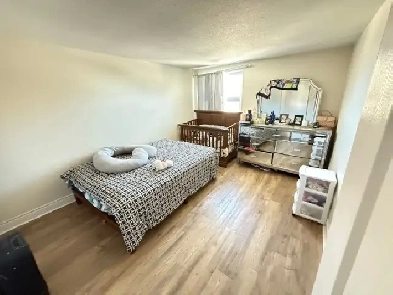 Appartements à louer Hull - Mont Bleu Image# 1