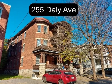 1 Bedroom Sandy Hill Apartment for Rent (255 Daly Ave) Image# 1