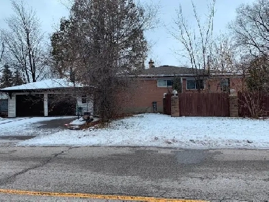 three bedroom house to rent in Richmond Hill Image# 1