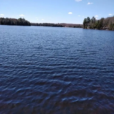 6 COTTAGE FOR SALE.BLACK LAKE .HALIBURTON 1000FT WATERFRONT 7 AC Image# 9