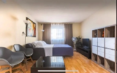 SHORT TERM RENTAL Bachelor Suite Location Location! River Valle Image# 7