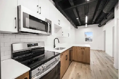 LUXURIOUS 1 BEDROOM Apartment in West Broadway for Rent! Image# 8