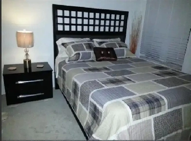 One private furnished luxury bedroom for $60 daily rate rental. Image# 1